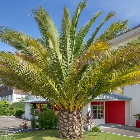 The Originals City, Loval, 3* Brest