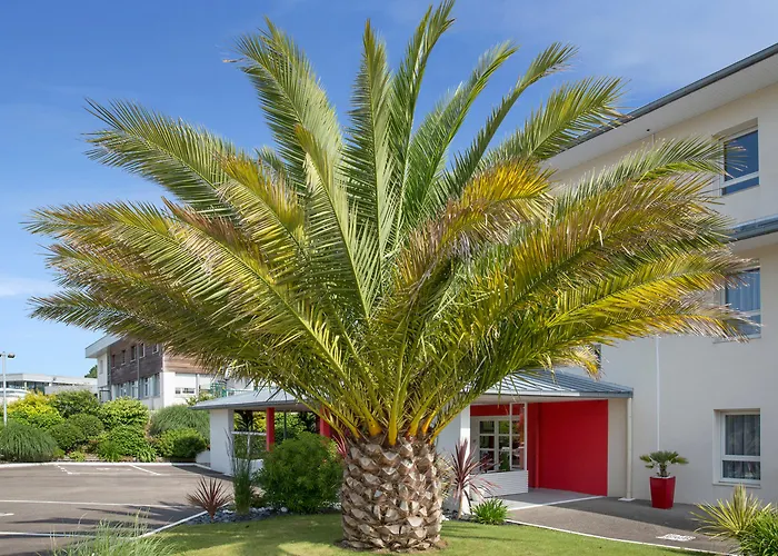 The Originals City, Loval, 3* 布雷斯特