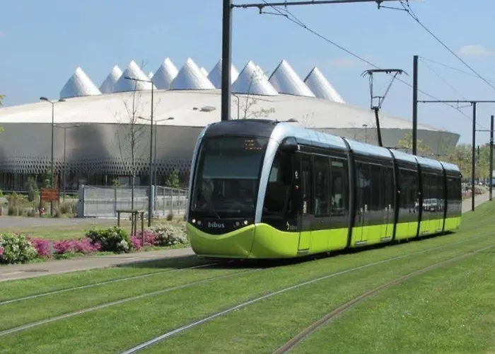 The Originals City, Loval, 布雷斯特