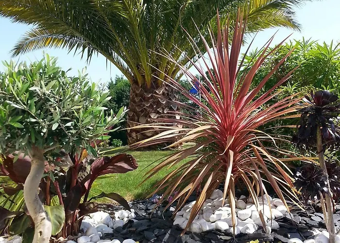 The Originals City, Loval, 3*