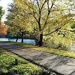 The Originals City, Loval, 3* Brest