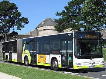 The Originals City, Loval, 3*